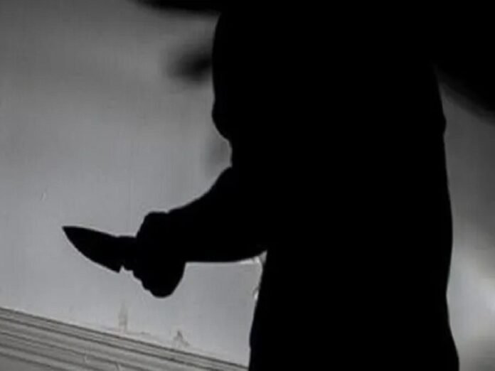 Delhi Palam Murder Case