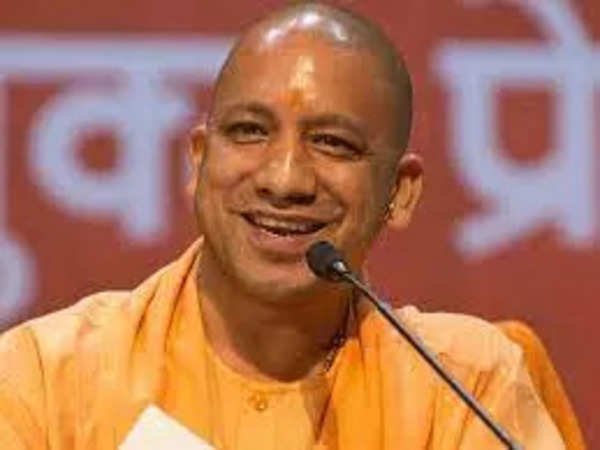 yogi2