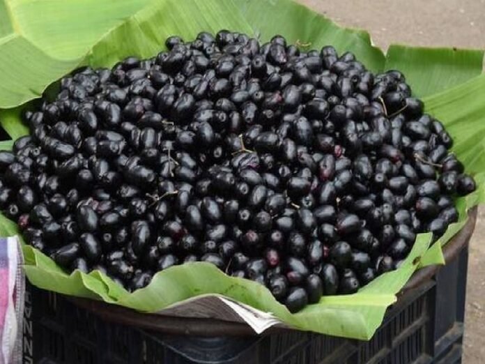Jamun Khane ke Fayde