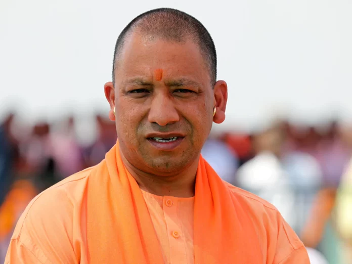 yogi