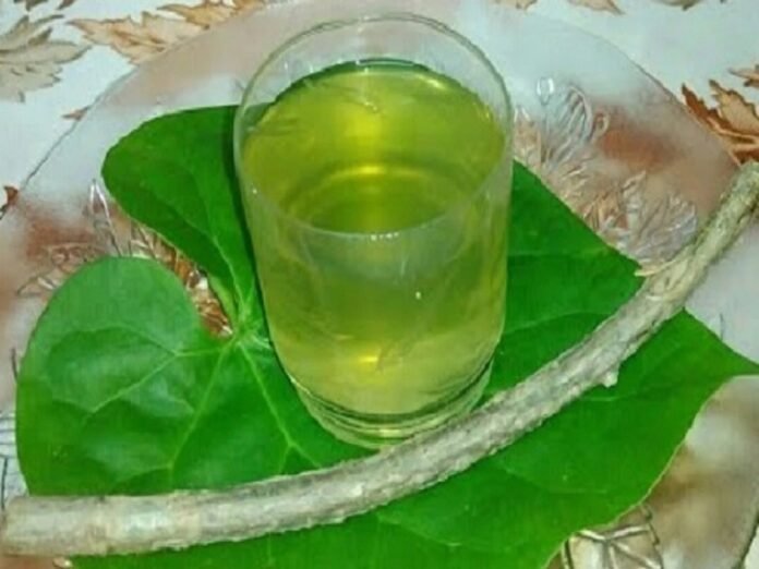 Giloy Benefits