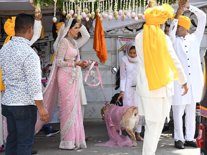 Sonali Sehgal and Ashish L Sajnani Wedding123