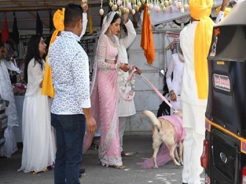 Sonali Sehgal and Ashish L Sajnani Wedding1234567