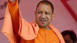 yogi