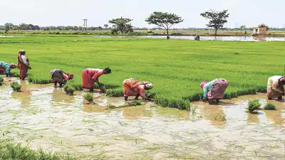 jharkhand