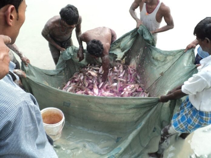 Bihar Fisheries Advisory