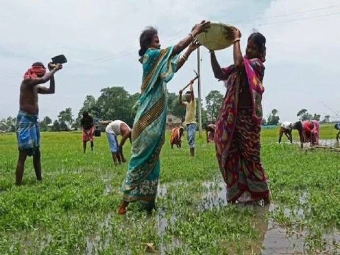 Bihar Canal Cleaning Project
