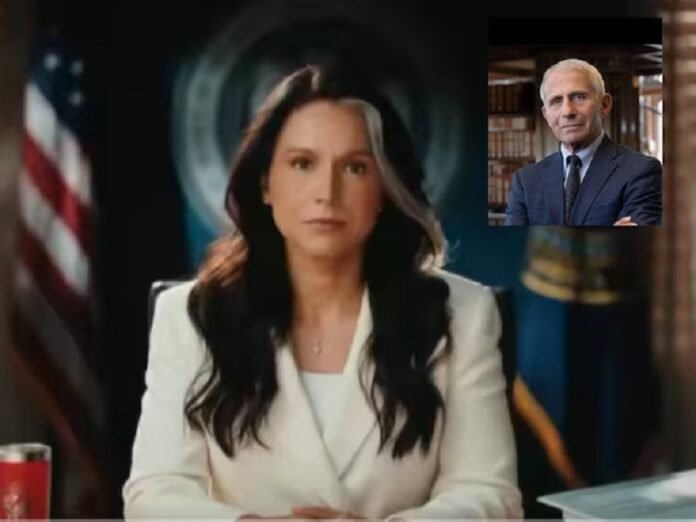 Tulsi Gabbard