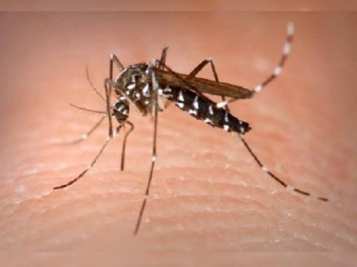 Bihar Dengue Alert