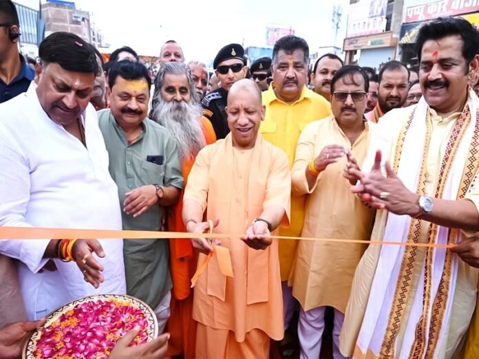 yogi